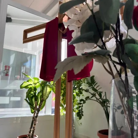 Foresteria Esercito Della Salvezza Hostal Roma